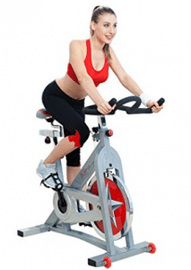 Sunny Health & Fitness Pro Indoor Cycling Bike