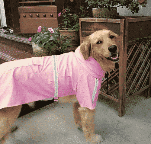 Dog Raincoat Leisure Waterproof Lightweight Dog Coat Jacket Reflective Rain Jacket