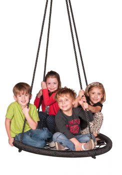 M & M Sales Enterprises Web Riderz Outdoor Swing N' Spin