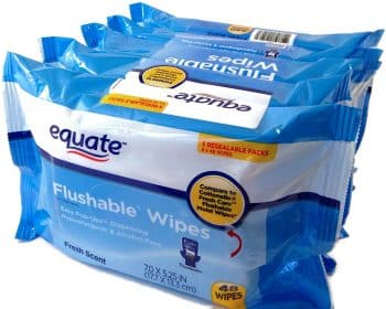 Equate Flushable Wipes 5-pack of 48 Ea