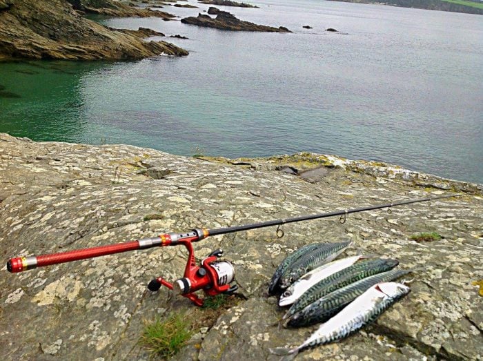 best telescopic fishing rod 2020