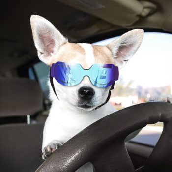 UV Goggles Sunglasses Water Protection Sun Glasses for Dog