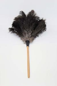1- GM Royal Ostrich Feather