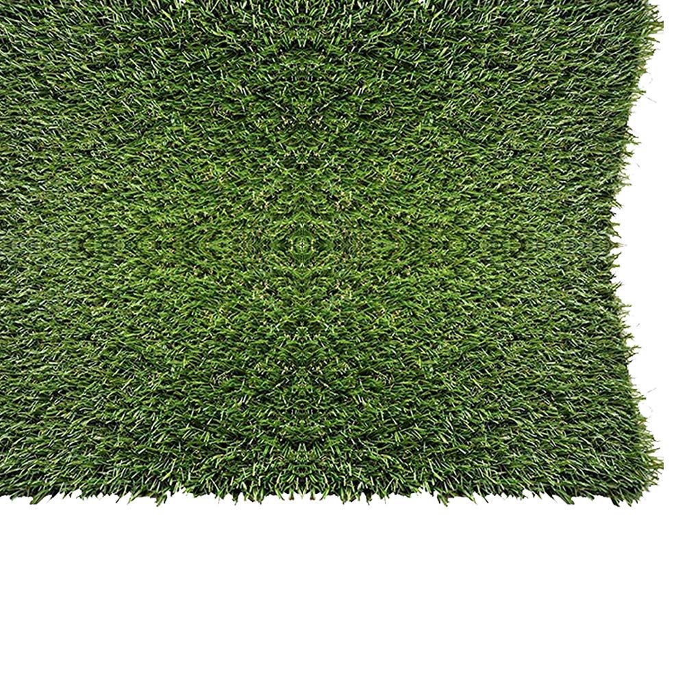 Top 10 Best Grass Rugs in 2023 Reviews Home & Kitchen
