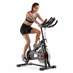 4. Schwinn Indoor Cycling Bike