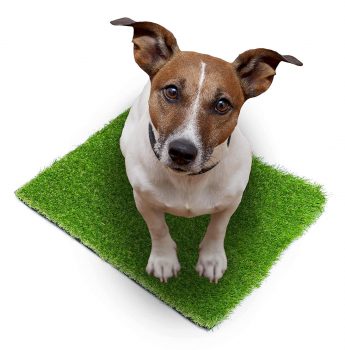 SavvyGrow Artificial Grass for Dogs AstroTurf-Rug - Premium 4 Tone Synthetic Astro Turf
