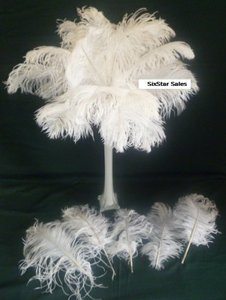 6- Six Star Sales long Bleach White DELUXE Tail Feathers
