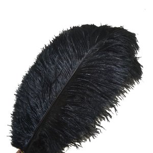 7- Sowder 10pcs Ostrich Feathers