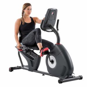 7. Schwinn Recumbent Bike