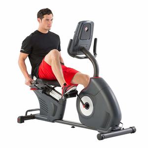 8. Schwinn Recumbent Bike