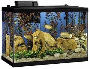 3- Tetra 20 Gallon Complete Aquarium Kit w filter