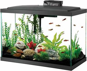 4- Aqueon LED Aquarium Kit 20H Black