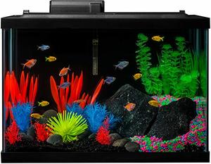 8- GloFish Aquarium Kit Fish Tank