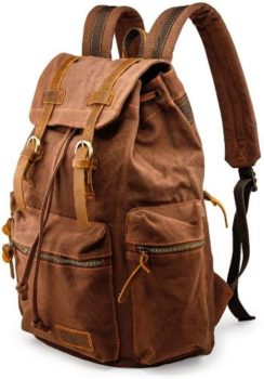 4. GEARONIC TM 21L Vintage Canvas Backpack