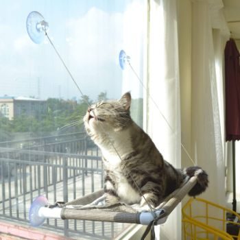 #5. PEFUNY Cat Window Perch Hammock