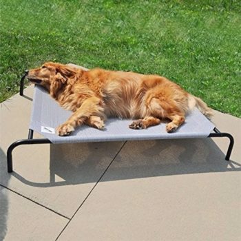 1. Elevated Dog Bed
