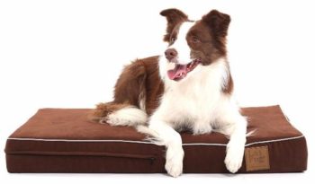 3. Ultra Density Memory Foam Dog Bed