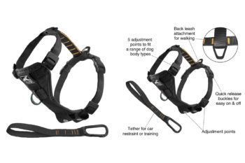 4. Kurgo Tru-Fit No Pull Dog Harness and Easy Dog Walking Harness with Pet Seatbelt Tether for Car