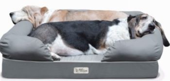 4. Ultimate Dog Bed