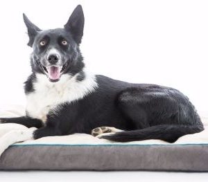 . Orthopedic Memory Foam Dog Bed
