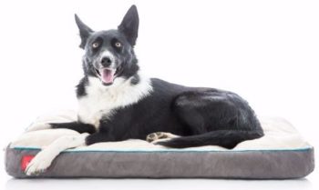 . Orthopedic Memory Foam Dog Bed