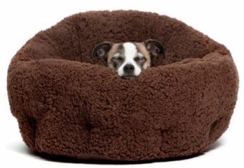 7. Extra Soft Dog bed